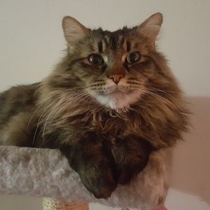 Meet your Posher, Phillip